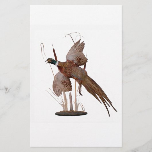 Papier Mont du faisan (Devant)