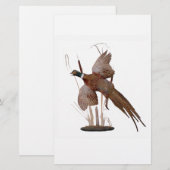 Papier Mont du faisan (Devant / Derrière)