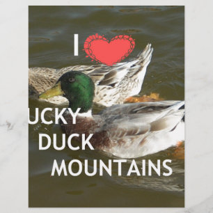 Papier Montagnes de canards.