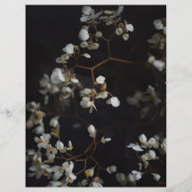 Moody Dark Floral Elegant Scrapbook Paper