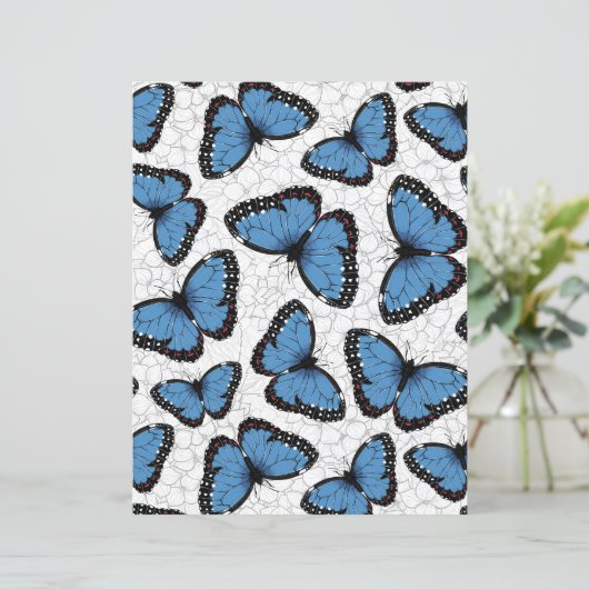 Papier Morphos bleus (Debout devant)
