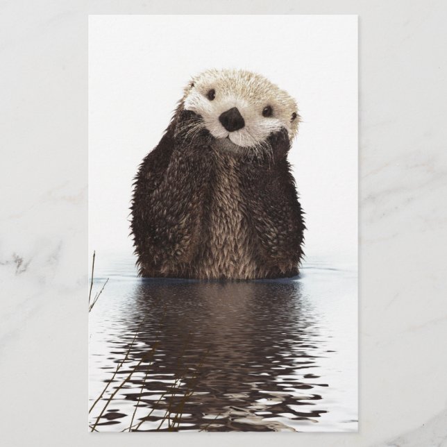 Papier Moufle de Fluffy adorable mignonne animal (Devant)