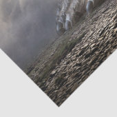 Papier Mousseline (Détail)