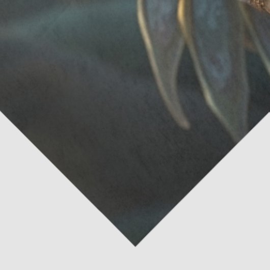 Papier Mousseline (Détail)