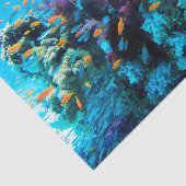 Papier Mousseline 13-16 options sous-marines d'image (Détail)