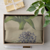 Papier Mousseline 1 Scilla Peruviana 2 Scilla Peruviana Alba (Cadeau)