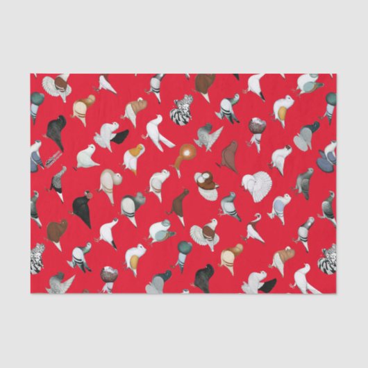 Papier Mousseline 36 races de pigeon (Recto)