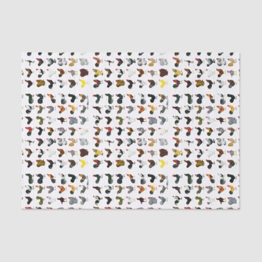 Papier Mousseline 49 coqs (Recto)