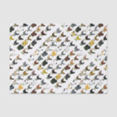 Papier Mousseline 49 poules de poulet (Recto)