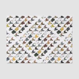 Papier Mousseline 49 poules de poulet