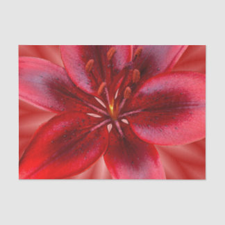 Papier Mousseline 4 formats de papier cadeau de tissus - Lily asiati