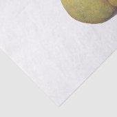 Papier Mousseline 5 poires vintages illustrées (Détail)