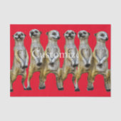 Papier Mousseline 6 Meerkats debats Thunder_Cove (Recto)