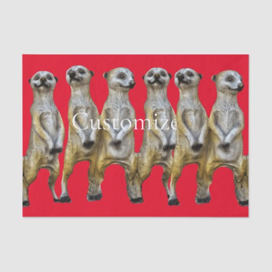 Papier Mousseline 6 Meerkats debats Thunder_Cove (Recto)