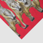 Papier Mousseline 6 Meerkats debats Thunder_Cove (Détail)