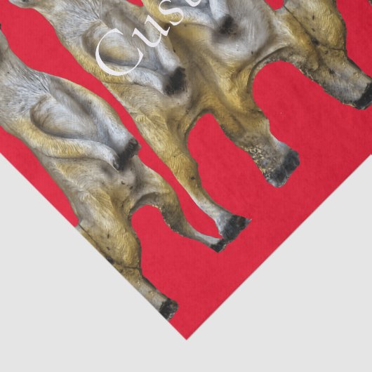 Papier Mousseline 6 Meerkats debats Thunder_Cove (Détail)