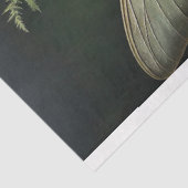 Papier Mousseline À feuillage persistant Muse (Détail)