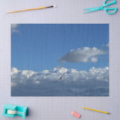 Papier Mousseline A Flouds (Artisanat)