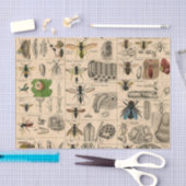 Papier Mousseline Abeille Insecte Bug Wasp Histoire naturelle abeill (Artisanat)