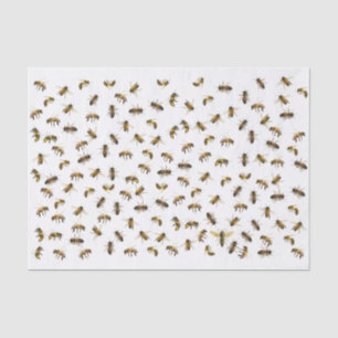 Papier Mousseline Abeilles ouvrières et enveloppes et découpage de l