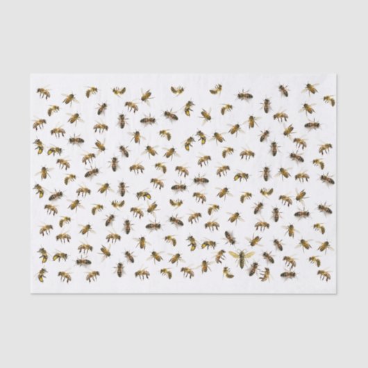 Papier Mousseline Abeilles ouvrières et enveloppes et découpage de l (Recto)