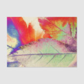 Papier Mousseline Abrégé sur érable (Recto)