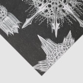 Papier Mousseline Acanthophracta, animal aquatique Wunderstrahlinge (Détail)