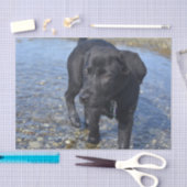 Papier Mousseline Adorable Chien de Chien Chien De Chien De Chien Du (Artisanat)