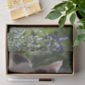 Papier Mousseline Adorable Kitten Dans le jardin (Cadeau)