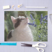 Papier Mousseline Adorable Kitten Dans le jardin (Artisanat)