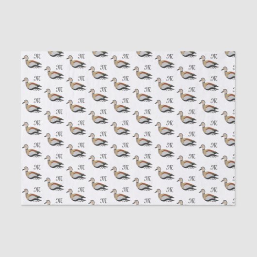 Papier Mousseline Adorable Ringed Teal Duck Swimming (Recto)