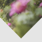 Papier Mousseline Adorable Vers Pouce (Détail)