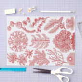 Papier Mousseline Affiche Vintage d'Ernst Haeckel Seaweed (Artisanat)