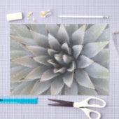 Papier Mousseline Agave Succulent Plante Cactus Vert sauge (Artisanat)