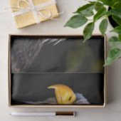Papier Mousseline Aigle de Bald (Cadeau)