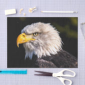 Papier Mousseline Aigle de Bald (Artisanat)