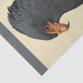 Papier Mousseline Aigle gris découpage Ephémère des oiseaux (Détail)