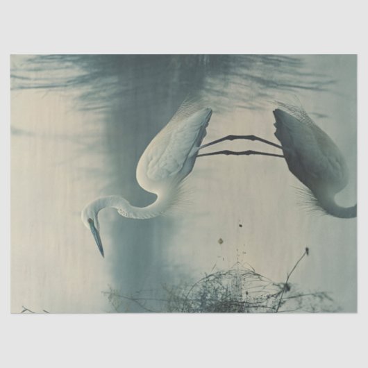 Papier Mousseline Aiguille dans la page de découpage de fond (Recto)