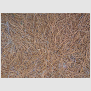 Papier Mousseline aiguilles de paille de pin brun rouge photo