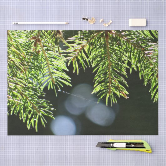 Papier Mousseline Aiguilles de pin à bokeh (Artisanat)