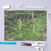 Papier Mousseline Aiguilles de pin par Kenneth Yoncich (Artisanat)