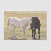Papier Mousseline Aimer les Chevaux (Recto)