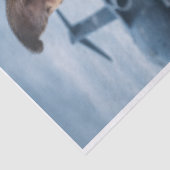 Papier Mousseline Air Force Pupper  (Détail)