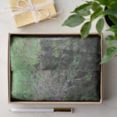 Papier Mousseline Alaska Grizzly Bear Photo de la faune (Cadeau)