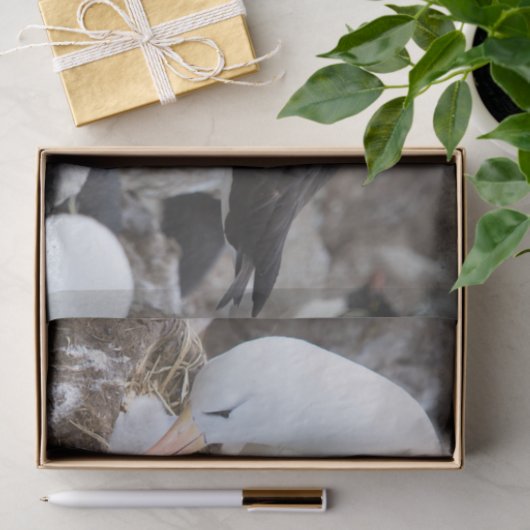 Papier Mousseline Albatros à la poussette (Cadeau)