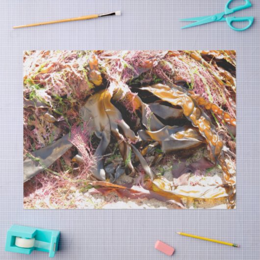 PAPIER MOUSSELINE ALGUES (Artisanat)