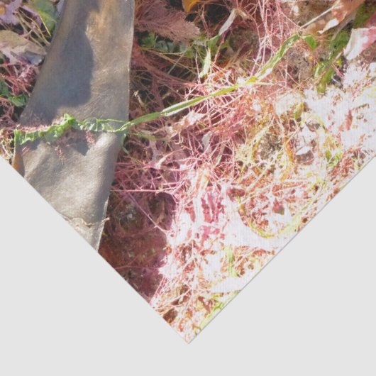 PAPIER MOUSSELINE ALGUES (Détail)