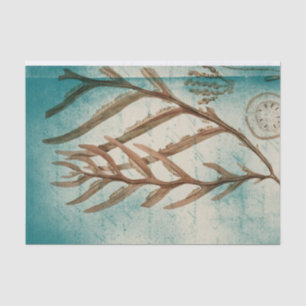 Papier Mousseline Algues Marines et Dollar de Sable Vintage