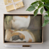 Papier Mousseline Alimentation de cochons de Guinée animale (par Jam (Cadeau)