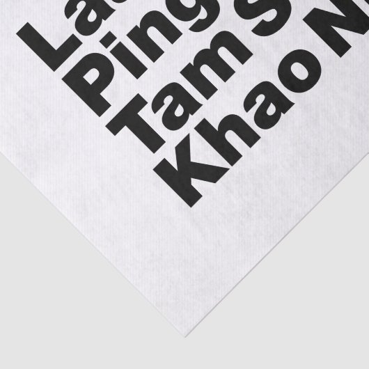 Papier Mousseline Alimentation de la rue laotienne (Détail)